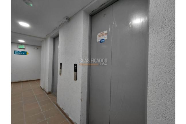 Apartamentos, Alquiler en Bellavista