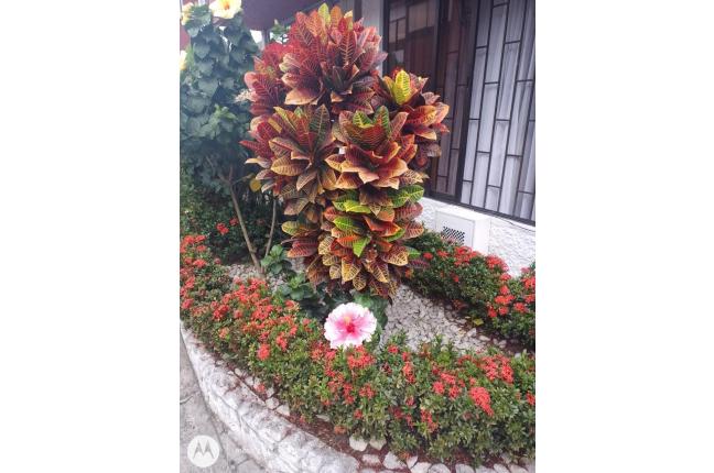 Casas, Venta en Primero de Mayo
