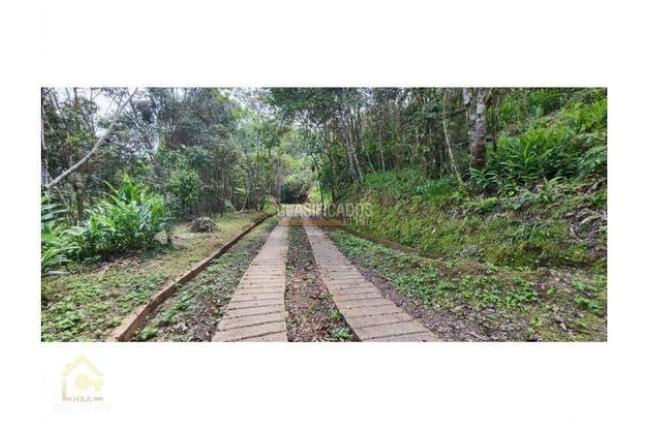 Lotes, Venta en Yumbo