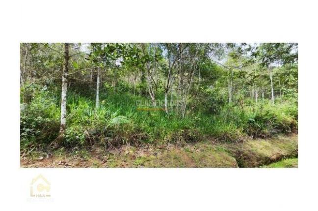 Lotes, Venta en Yumbo