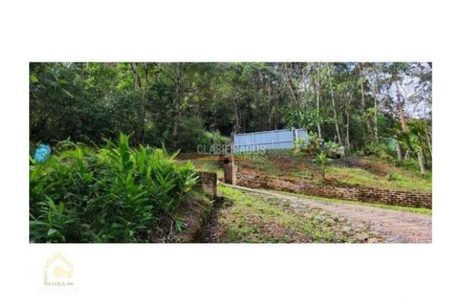 Lotes, Venta en Yumbo