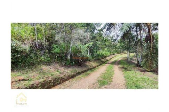 Lotes, Venta, Yumbo - $350.000.000