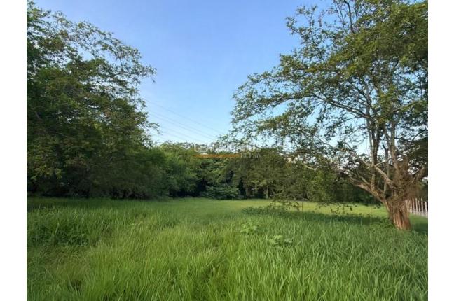 Lotes, Venta, Pance - $2.300.000.000