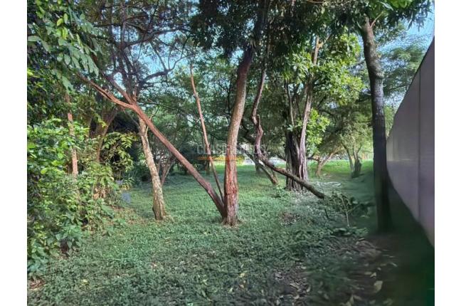Lotes, Venta, Pance - $2.300.000.000