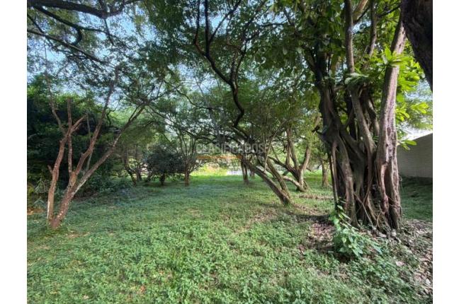 Lotes, Venta, Pance - $2.300.000.000