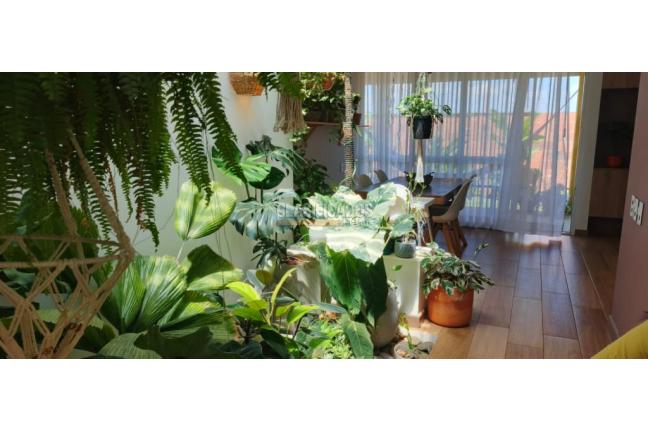Casas, Venta, Jamundí - $650.000.000