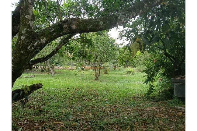 Casas, Venta, Jamundí - $900.000.000