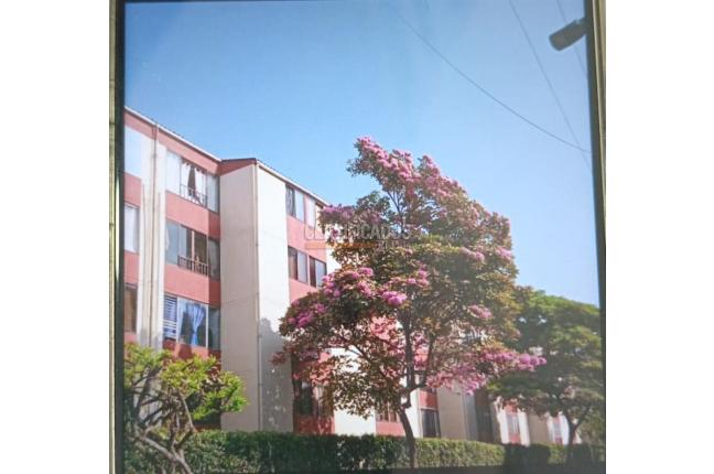 Apartamentos, Alquiler, La Base