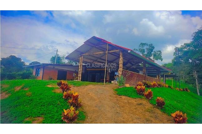 Fincas y Casas Campestres, Venta, La Cumbre - $550.000.000