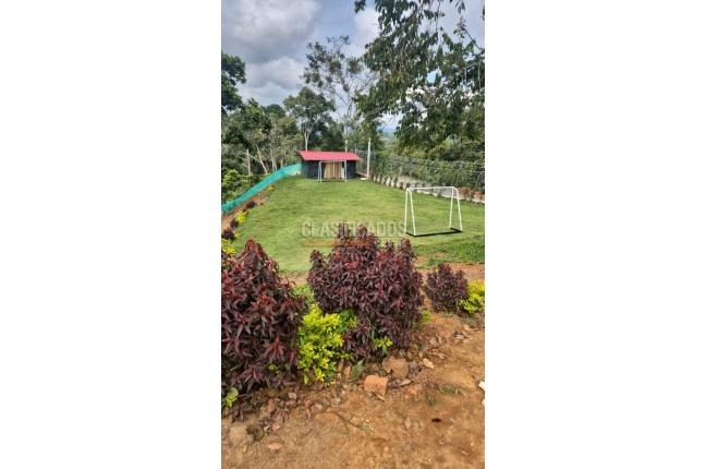 Fincas y Casas Campestres, Venta, La Cumbre - $550.000.000
