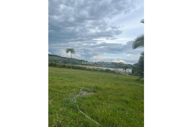 Lotes, Venta en Calima (Darién)