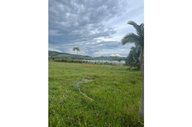 Lotes, Venta en Calima (Darién)