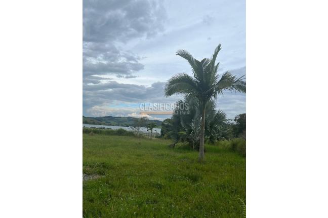 Lotes, Venta en Calima (Darién)