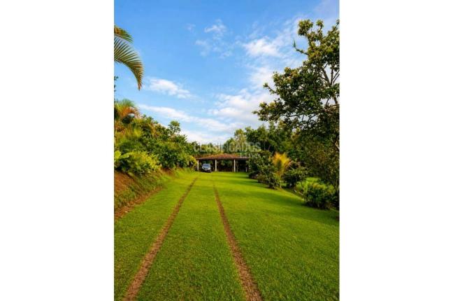 Fincas y Casas Campestres, Venta, Dagua - $750.000.000