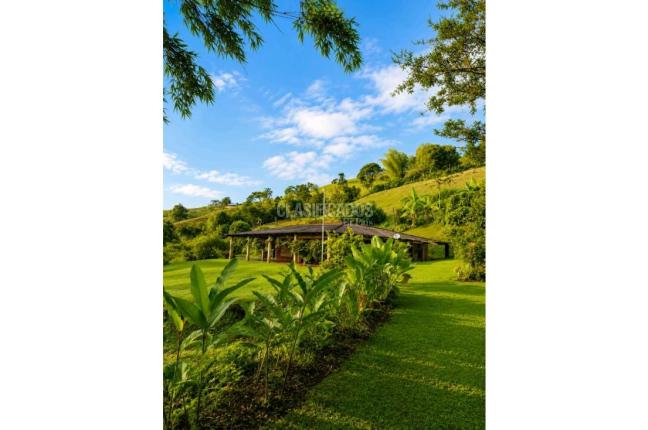 Fincas y Casas Campestres, Venta, Dagua - $750.000.000