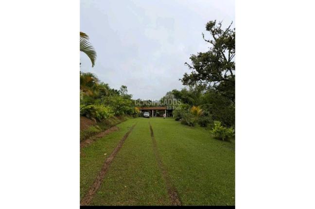 Fincas y Casas Campestres, Venta, Dagua - $750.000.000