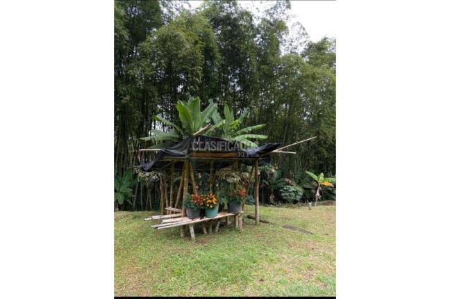 Fincas y Casas Campestres, Venta, Dagua - $750.000.000