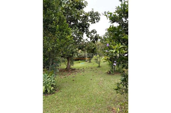 Fincas y Casas Campestres, Venta, Dagua - $750.000.000