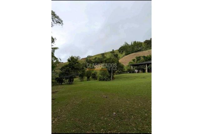 Fincas y Casas Campestres, Venta, Dagua - $750.000.000