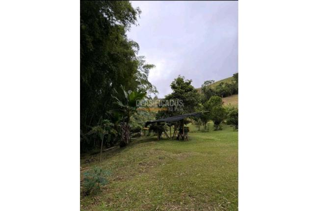 Fincas y Casas Campestres, Venta, Dagua - $750.000.000