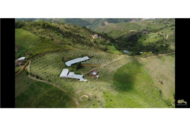 Fincas y Casas Campestres, Venta en Restrepo