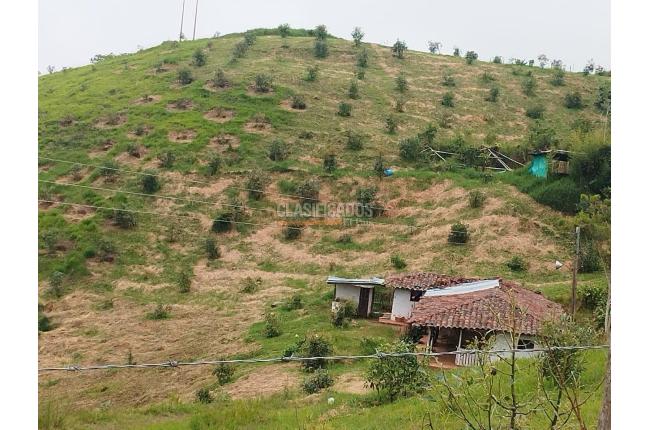 Fincas y Casas Campestres, Venta en Restrepo