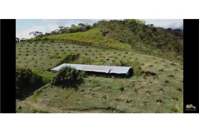 Fincas y Casas Campestres, Venta en Restrepo