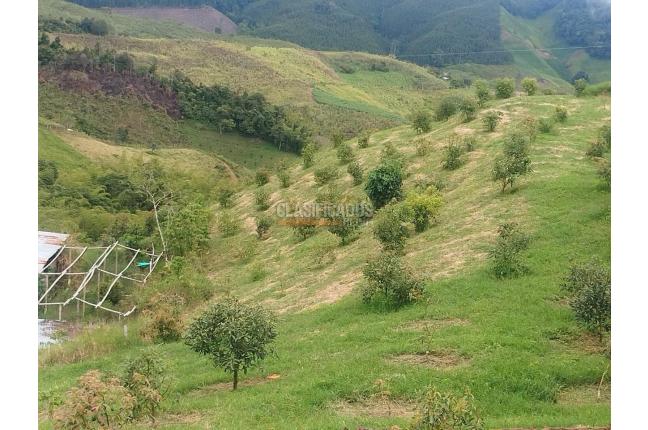 Fincas y Casas Campestres, Venta, Restrepo - $480.000.000