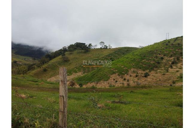 Fincas y Casas Campestres, Venta, Restrepo - $480.000.000