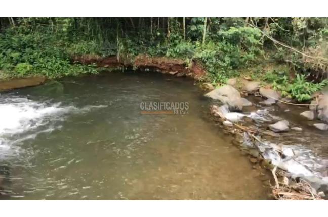 Lotes, Venta en Dagua