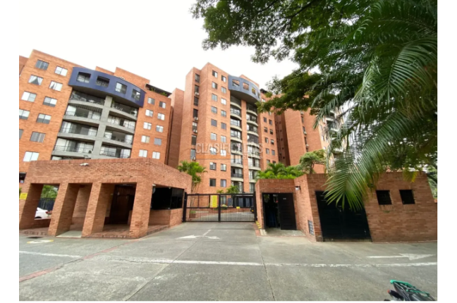 Apartamentos, Alquiler en El Ingenio