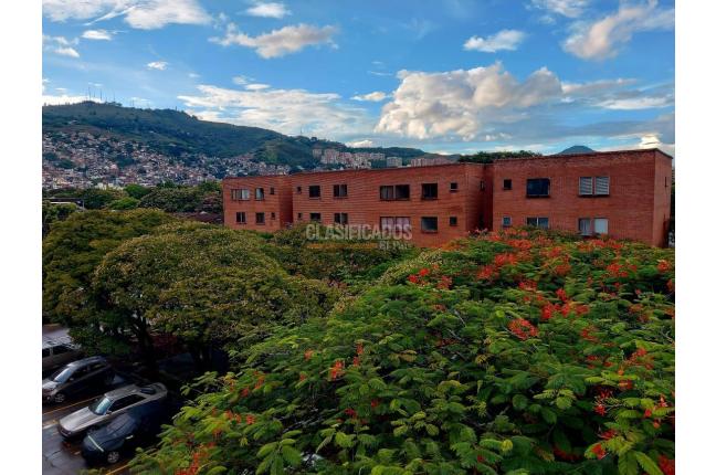 Apartamentos, Alquiler, El Lido - $1.650.000