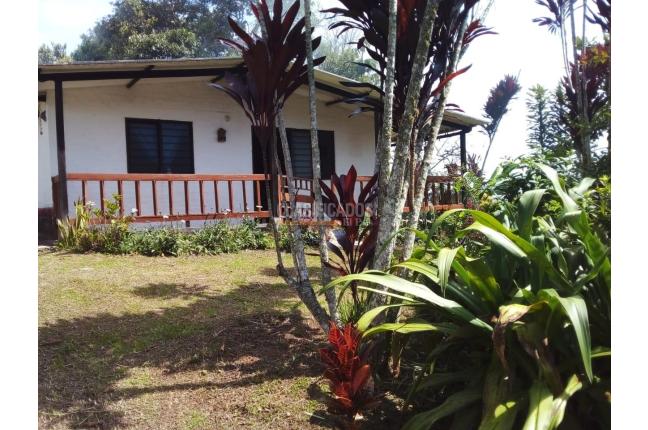 Fincas y Casas Campestres, Venta, Dagua - $185.000.000