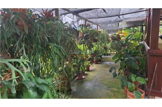 Fincas y Casas Campestres, Venta en Dagua
