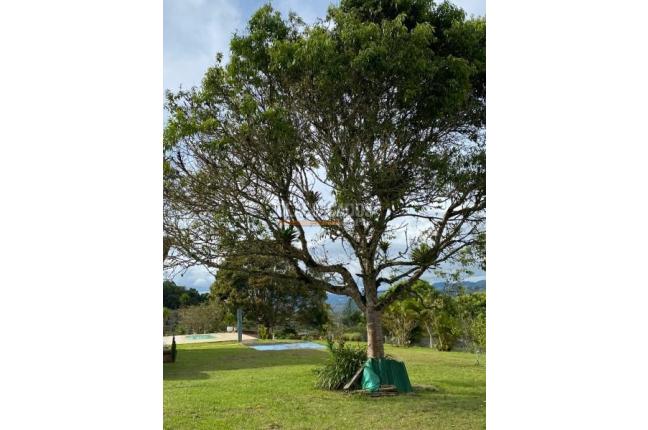 Fincas y Casas Campestres, Venta, Dagua - $430.000.000