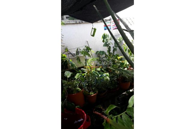 Apartamentos, Alquiler, Arboleda - $3.000.000