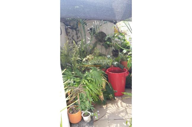 Apartamentos, Alquiler, Arboleda - $3.000.000