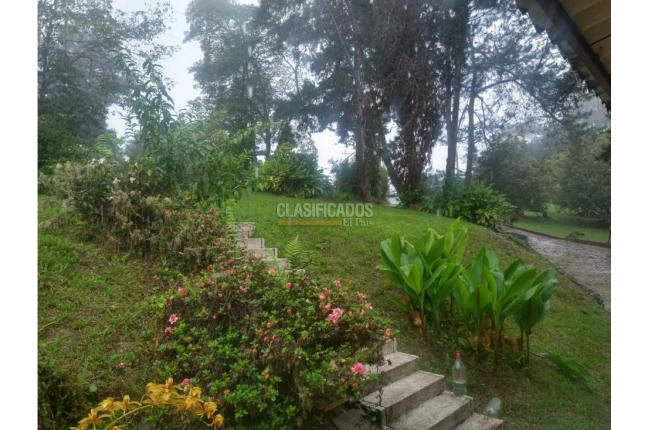 Fincas y Casas Campestres, Venta en Dagua