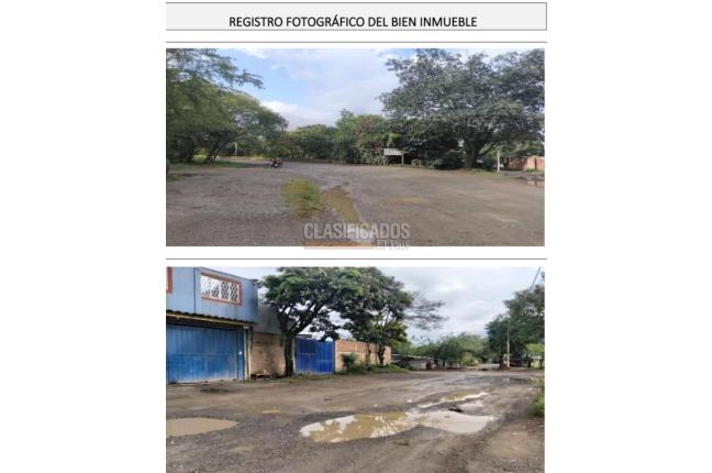 Lotes, Venta en Palmira