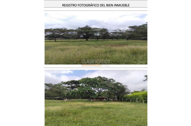 Lotes, Venta, Palmira - $7.000.000.000
