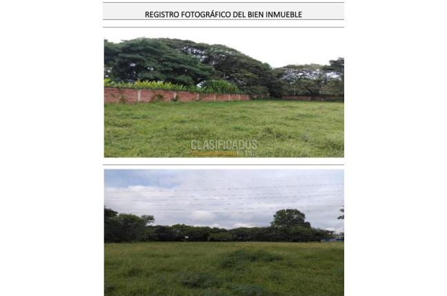 Lotes, Venta, Palmira - $7.000.000.000