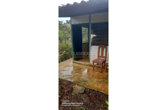 Fincas y Casas Campestres, Venta, Vijes - $700.000.000