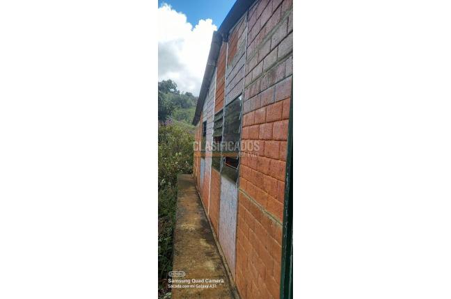 Fincas y Casas Campestres, Venta, Vijes - $700.000.000