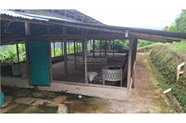 Fincas y Casas Campestres, Venta, Dagua - $700.000.000