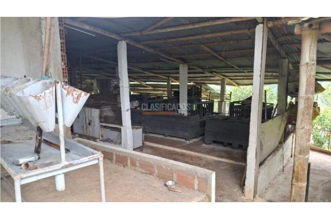 Fincas y Casas Campestres, Venta, Dagua - $700.000.000
