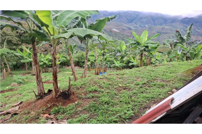 Fincas y Casas Campestres, Venta, Dagua - $700.000.000