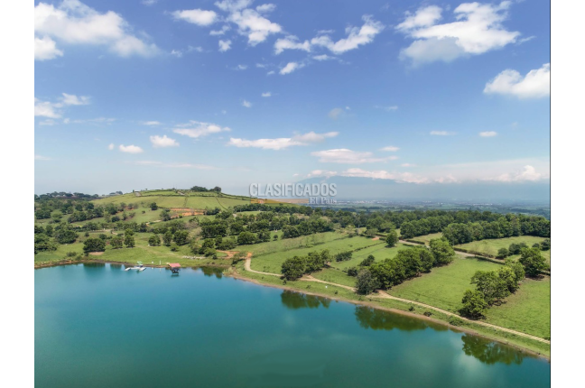 Lotes, Venta en Palmira