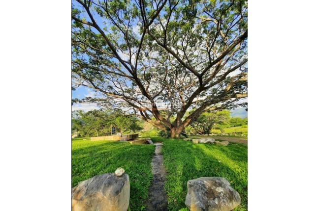 Lotes, Venta, Palmira - $457.000.000