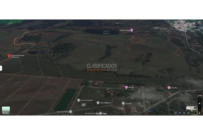 Lotes, Venta, Palmira - $457.000.000