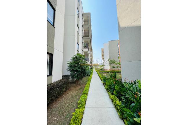 Apartamentos, Alquiler, Ciudad Pacifica - $2.500.000